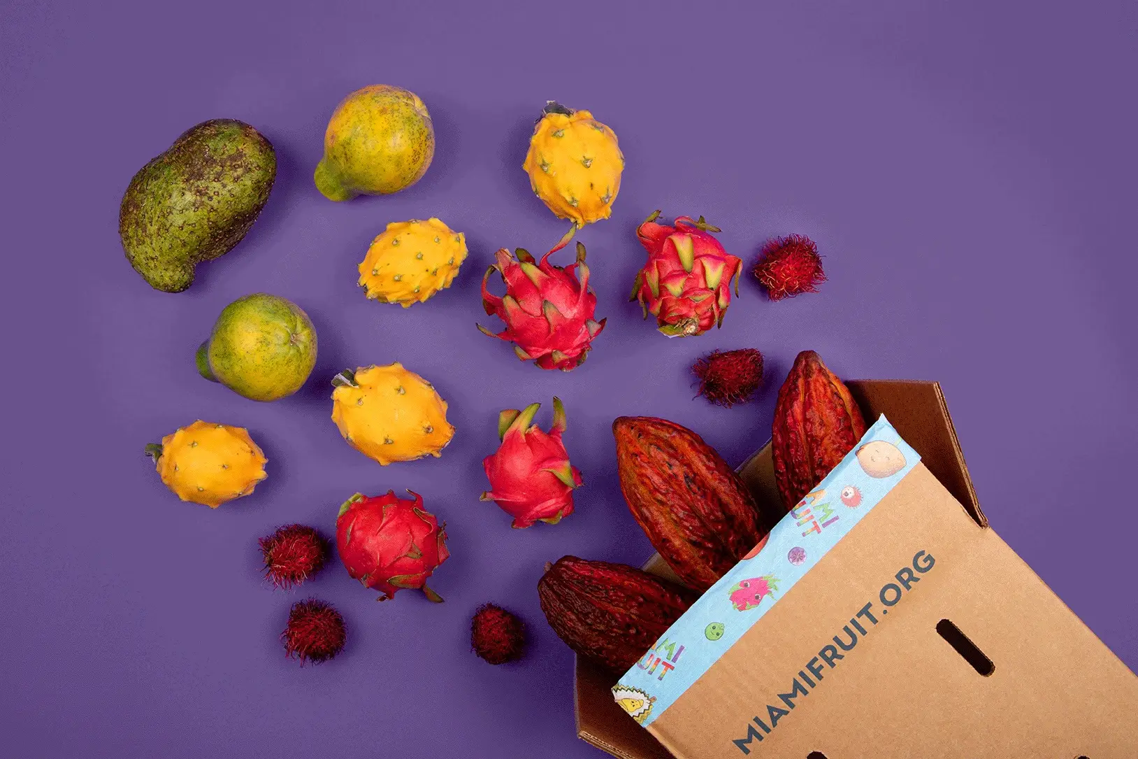 Tropical Paradise Delivered to You