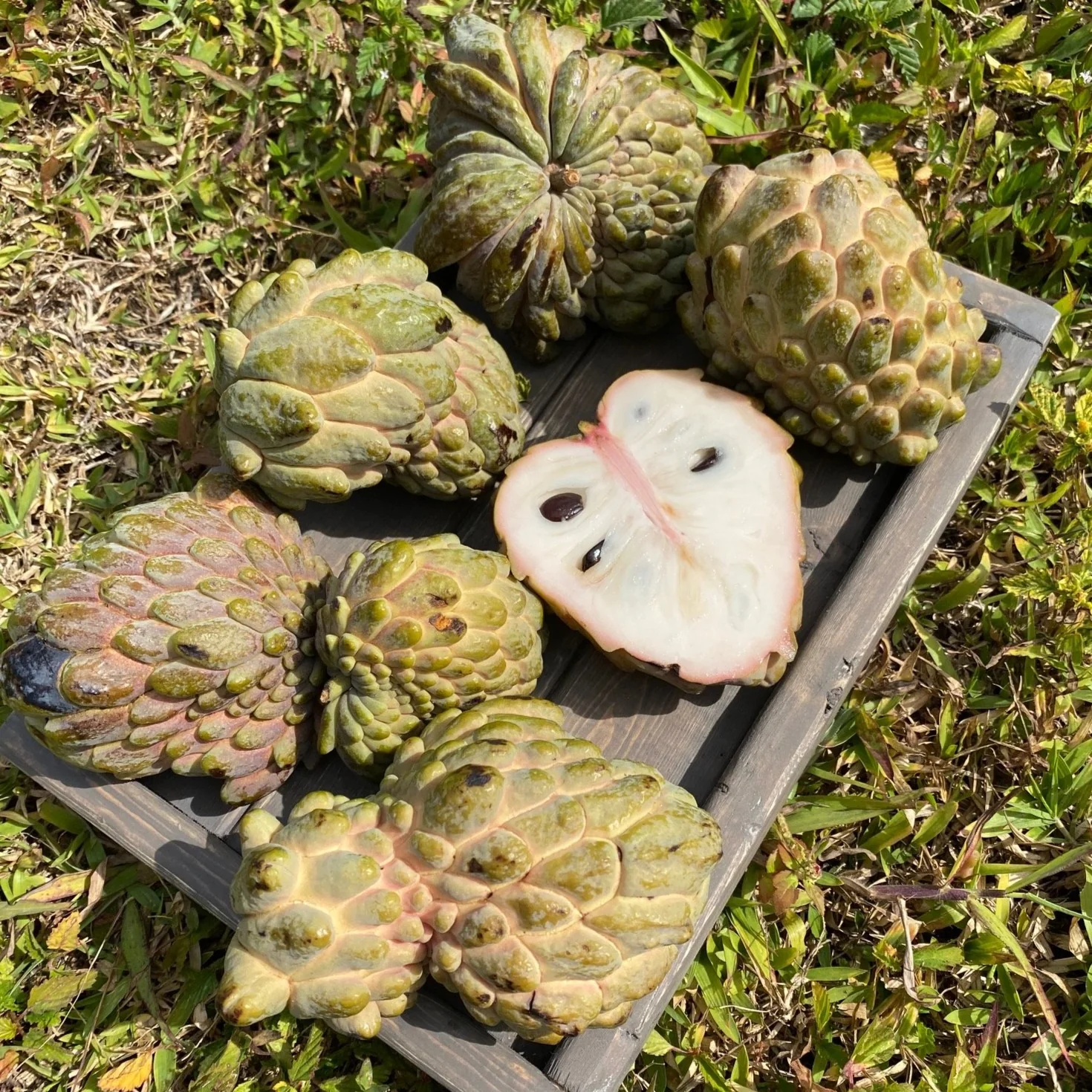 Product image 3