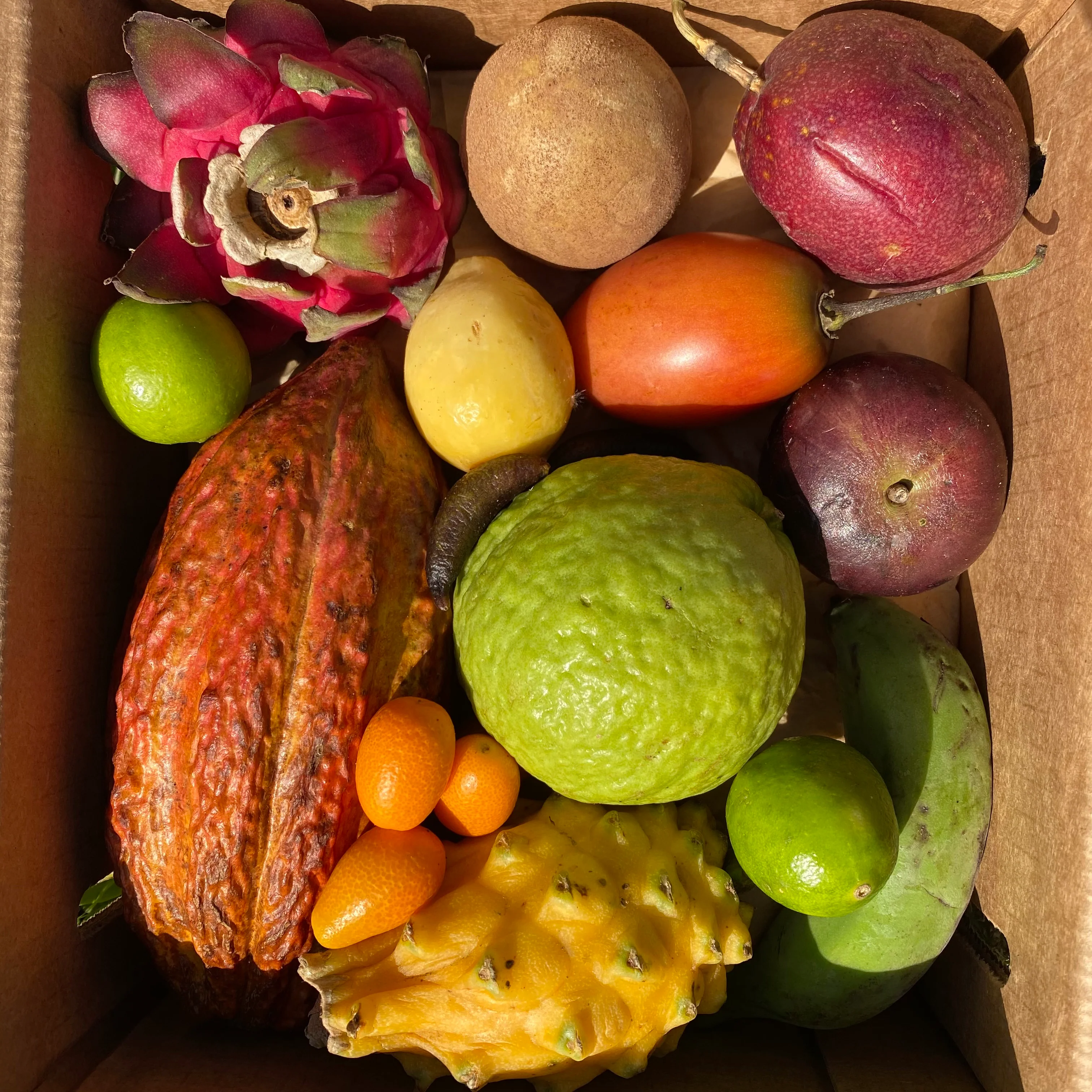 Product image 18